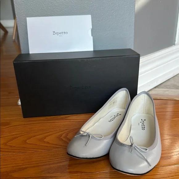 Repetto Women's Gray Ballet Flats - Picture 1 of 4